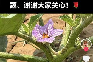 替补奇兵！小莫里斯半场7中4拿13分&次节独得11分